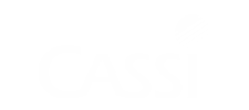 6-cassi.png